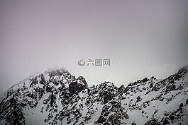雪,冬天,白