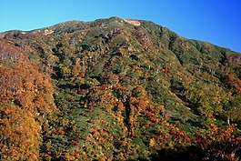 日本,景觀,山
