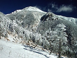 日本,景觀,山