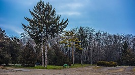 公園,敖德薩,樹木