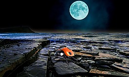 滿月,海岸,夜
