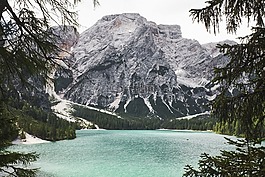 山,谷,樹