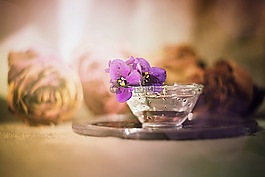花卉,表,蠟燭