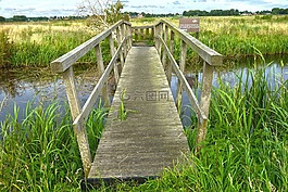 溝,運河,橋