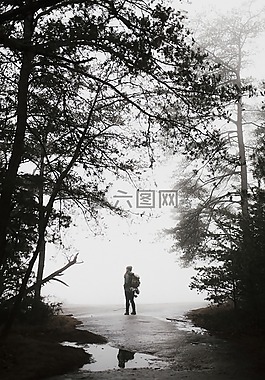 樹,植物,自然