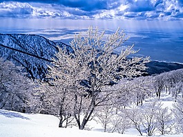 景觀,霜,山脈