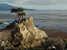 海洋,查看,孤立