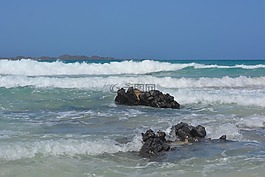 巖石,海,濱
