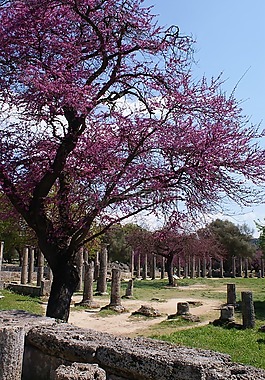 希臘,奧林匹亞,考古學(xué)