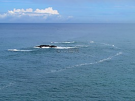 目睹,海洋,自然