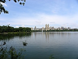 中央公園,紐約,摩天大樓