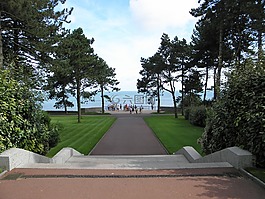 公園,景觀,樹木