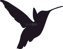 侧影,蜂鸟,鸟