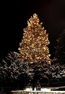 圣誕節(jié),weihnachtsbaumschmuck,綠色