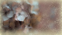 鮮花,數字藝術,數字繪畫