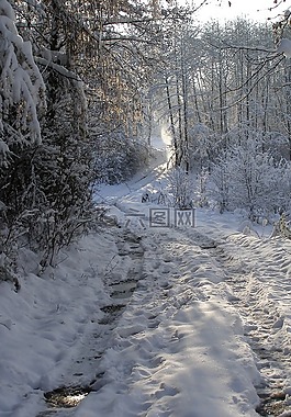 冬季,方式,雪