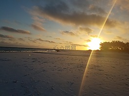 日出,海灘,旅行