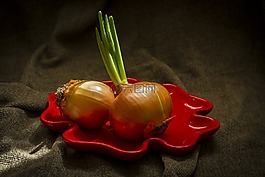 洋蔥,蔬菜,光