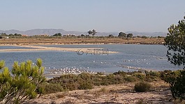 自然公園,薩利納斯,圣波拉