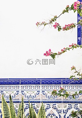 花,綠色,葉