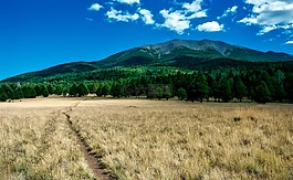 亞利桑那州,山,草甸