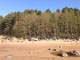 海,海岸,沙