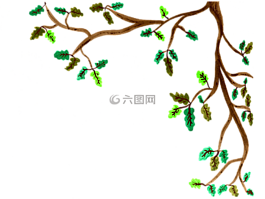 橡樹,科,水彩
