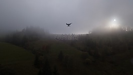 dji,魅影,雄蜂