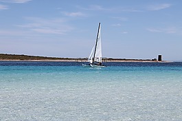 帆船,水上運動,海