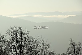 自然,山,景觀
