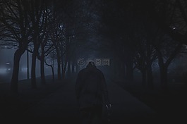 街,路,樹