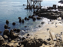 海灘,太平洋,巖
