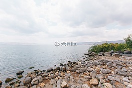 海,海洋,水