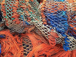 魚網(wǎng),釣魚fischfang,橙