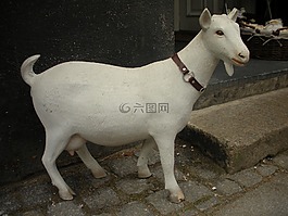 店面裝修,彩繪的石膏,圖