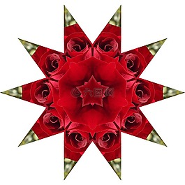 玫瑰,明星,曼陀羅