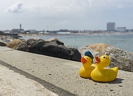 海,海灘,水域