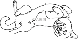 狗,快樂(lè),播放