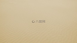 白,沙,海灘