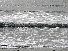 波,海洋,海