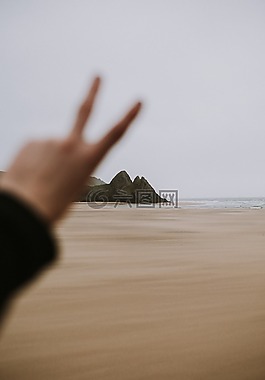 海,海洋,沙