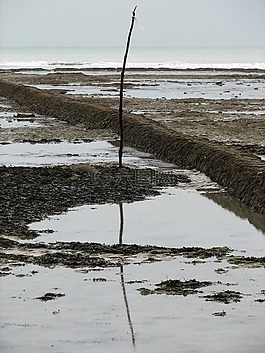 低潮,海洋,反思
