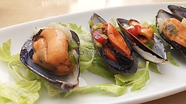 貽貝,食品,表