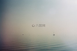 海,海洋,水