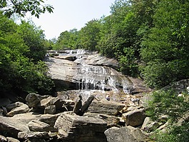 大瀑布,山,森林