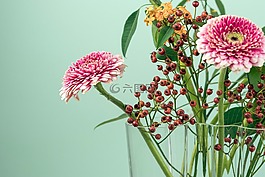 綠色,葉,花