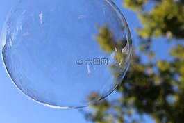 泡沫,氣泡,樹