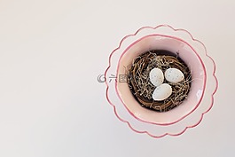 燕窩,春,復(fù)活節(jié)