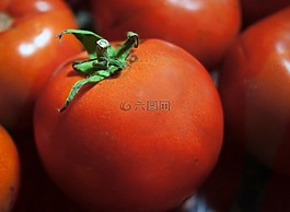 番茄,蔬菜,紅色