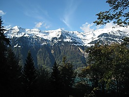 gwand森林,瑞士,山